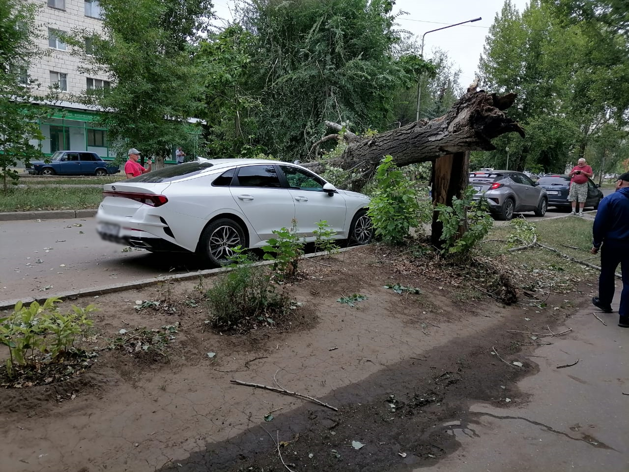 Новости котово. Сильный ветер. Сильный ветер повалил деревья. Обрушение балкона. Волгоград ветер упало дерево.